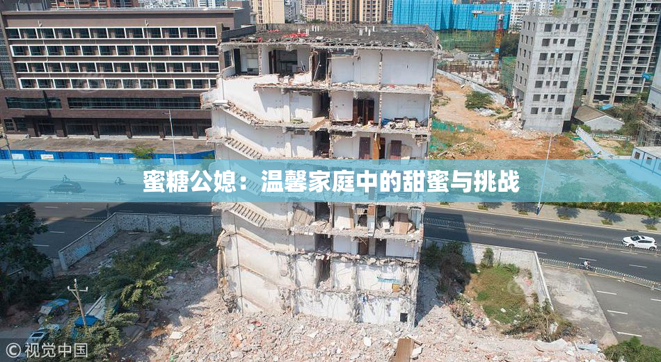 蜜糖公媳：温馨家庭中的甜蜜与挑战