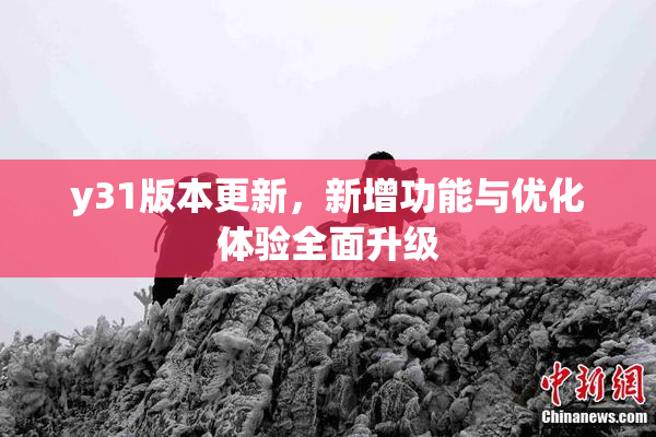 y31版本更新，新增功能与优化体验全面升级