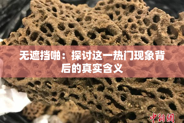 无遮挡啪：探讨这一热门现象背后的真实含义