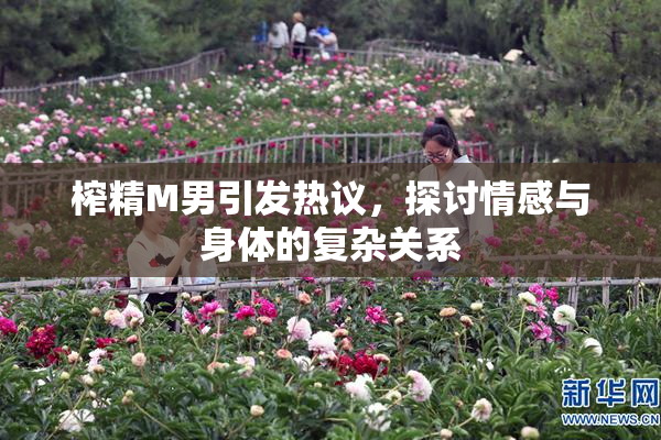榨精M男引发热议，探讨情感与身体的复杂关系