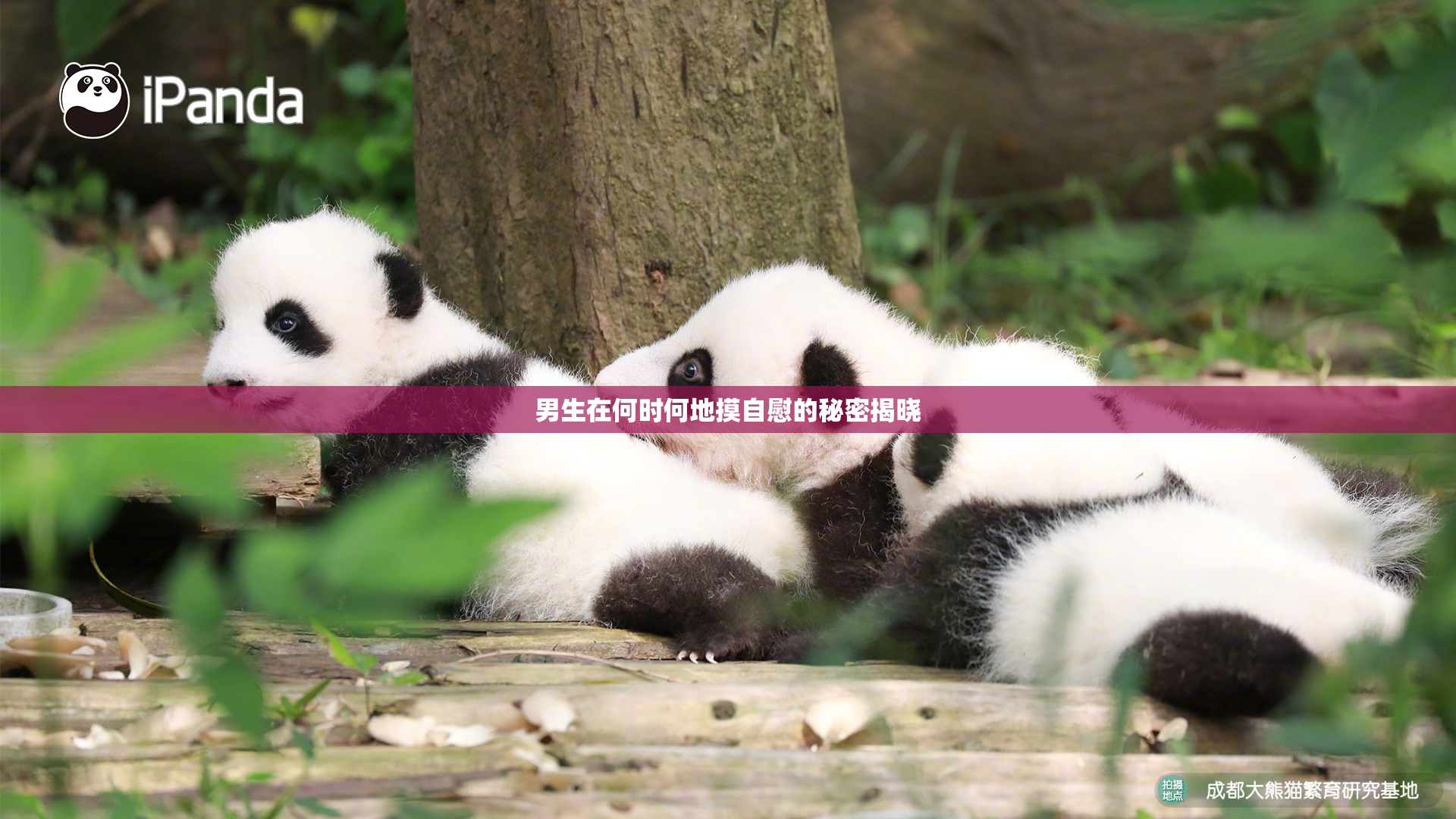 男生在何时何地摸自慰的秘密揭晓