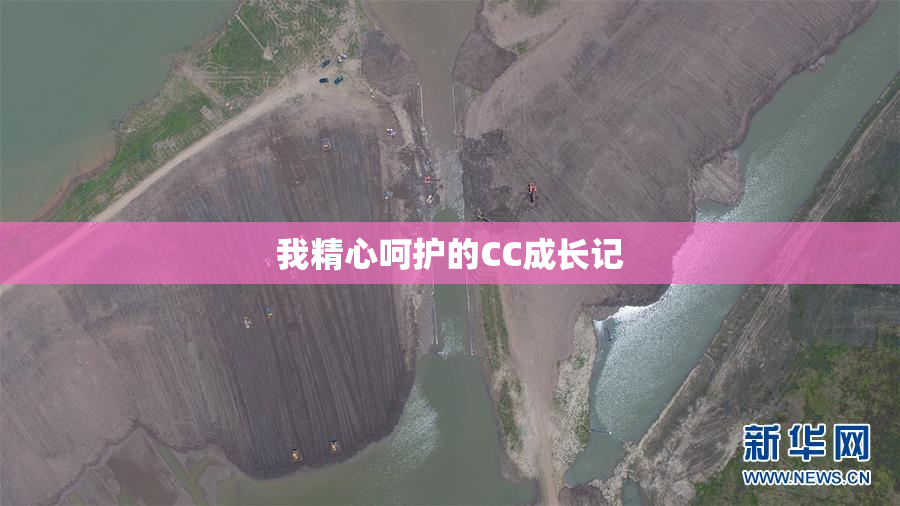我精心呵护的CC成长记
