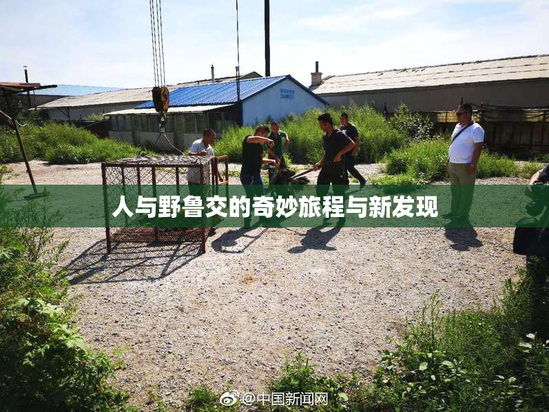 人与野鲁交的奇妙旅程与新发现