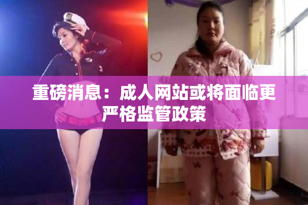 重磅消息：成人网站或将面临更严格监管政策