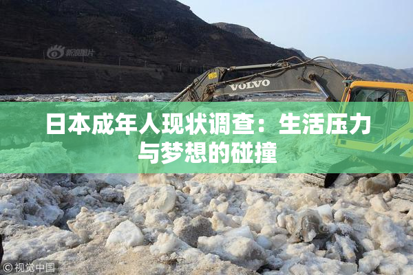 日本成年人现状调查：生活压力与梦想的碰撞