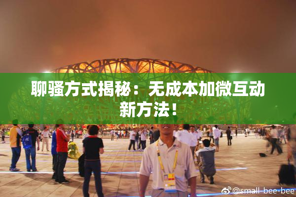 聊骚方式揭秘：无成本加微互动新方法！