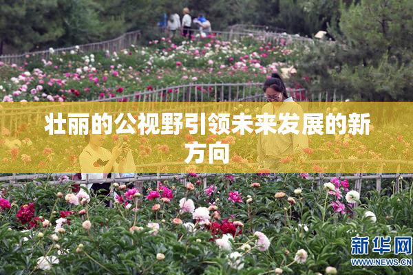 壮丽的公视野引领未来发展的新方向