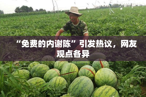 “免费的内谢陈”引发热议，网友观点各异