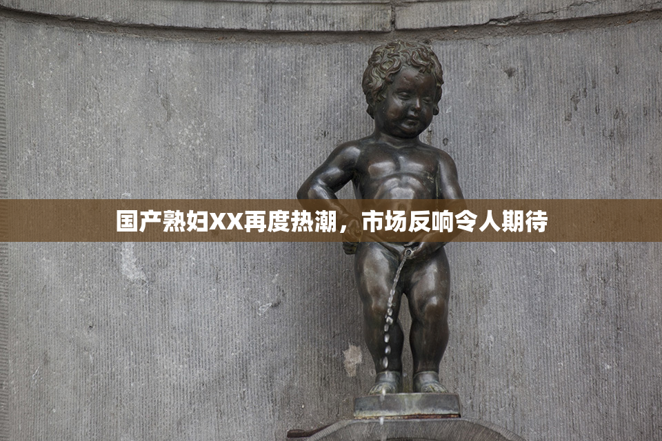 国产熟妇XX再度热潮，市场反响令人期待