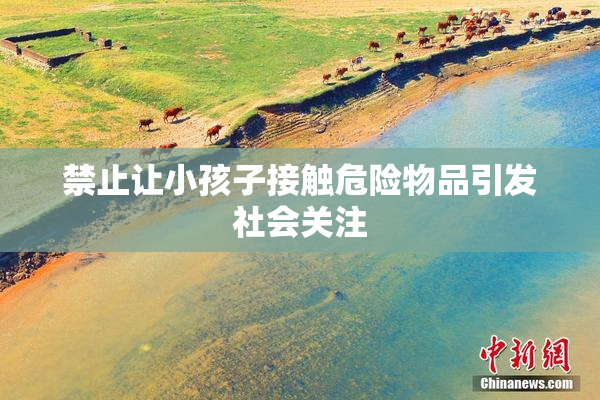 禁止让小孩子接触危险物品引发社会关注