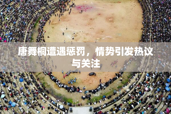 唐舞桐遭遇惩罚，情势引发热议与关注