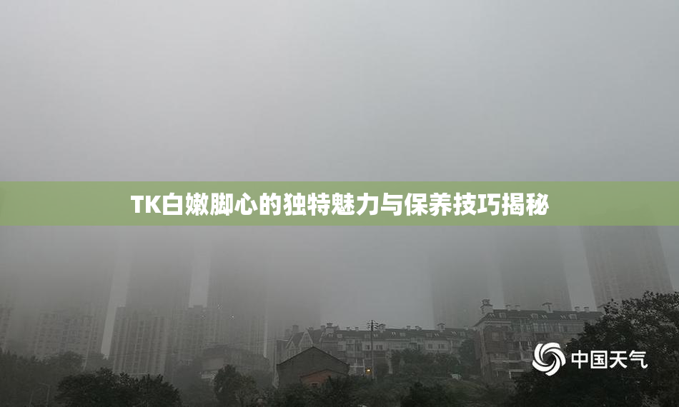 TK白嫩脚心的独特魅力与保养技巧揭秘