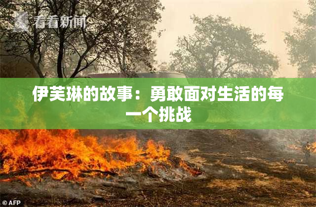 伊芙琳的故事：勇敢面对生活的每一个挑战