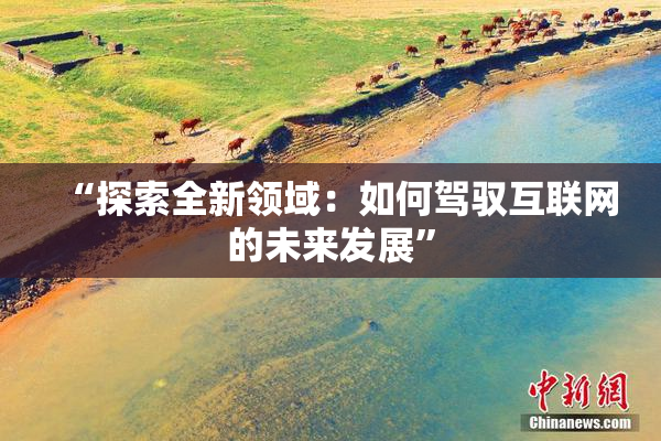 “探索全新领域：如何驾驭互联网的未来发展”