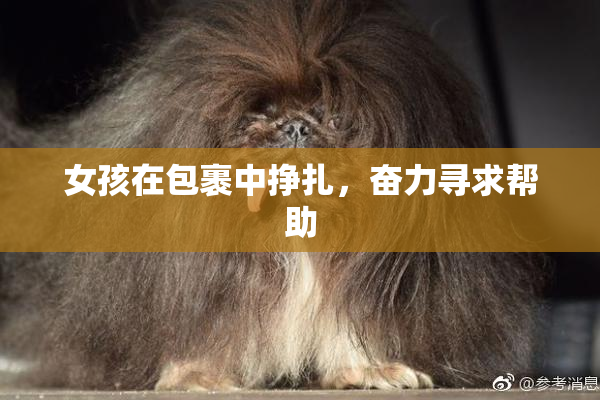 女孩在包裹中挣扎，奋力寻求帮助