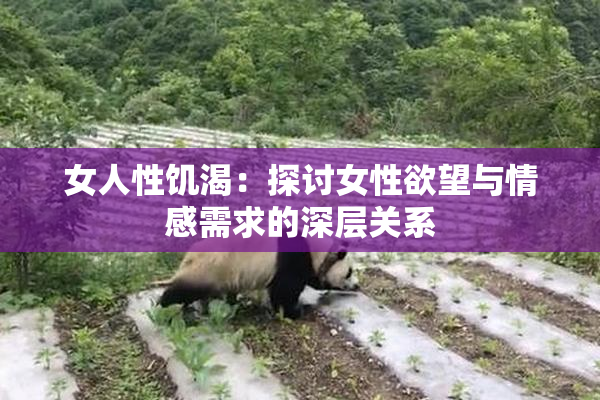 女人性饥渴：探讨女性欲望与情感需求的深层关系