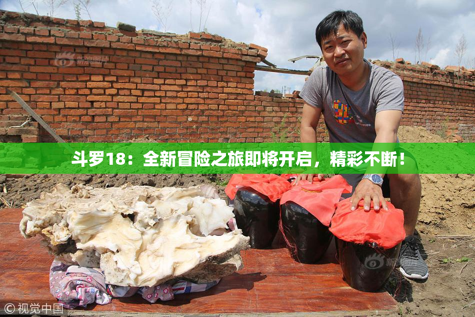 斗罗18：全新冒险之旅即将开启，精彩不断！