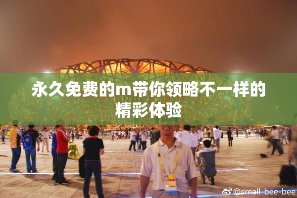 永久免费的m带你领略不一样的精彩体验