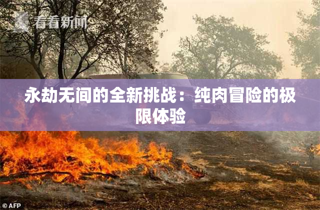 永劫无间的全新挑战：纯肉冒险的极限体验