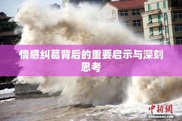 情感纠葛背后的重要启示与深刻思考