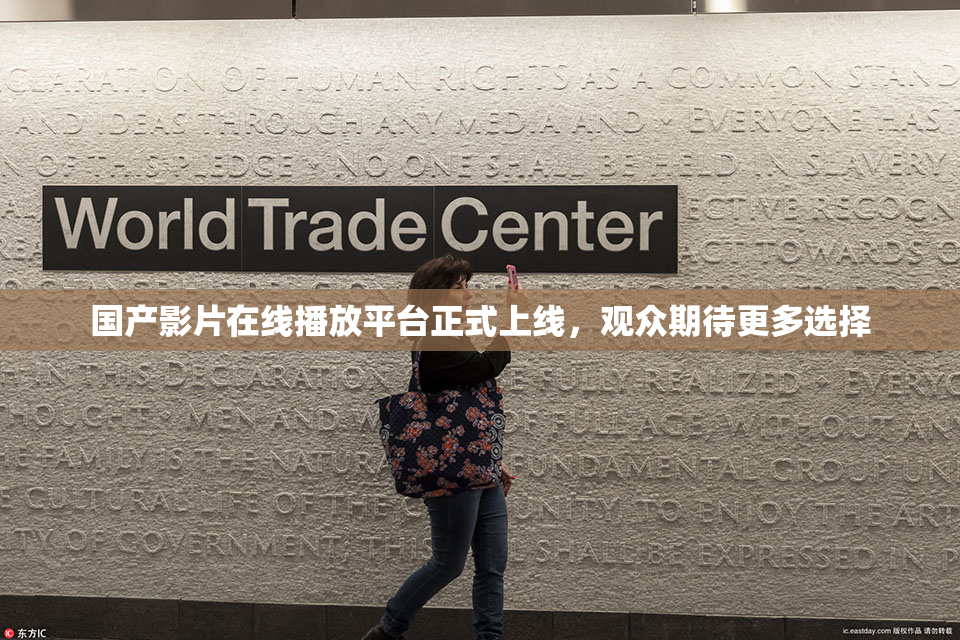 国产影片在线播放平台正式上线，观众期待更多选择