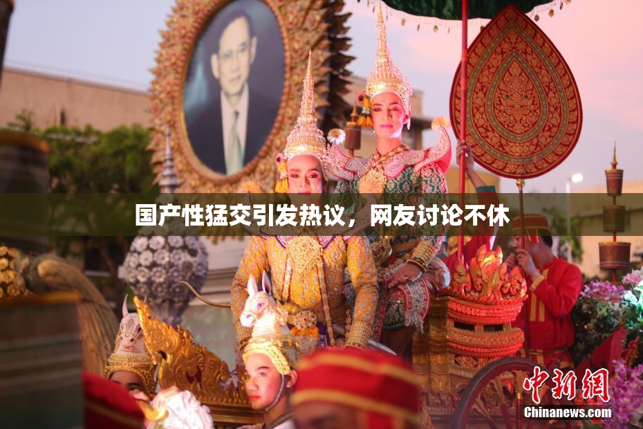 国产性猛交引发热议，网友讨论不休