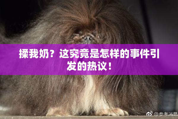 揉我奶？这究竟是怎样的事件引发的热议！