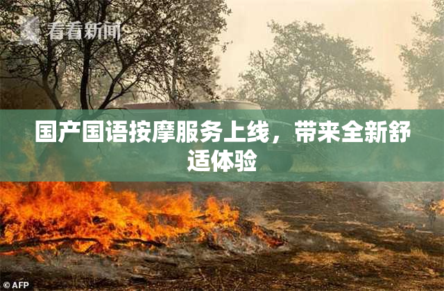 国产国语按摩服务上线，带来全新舒适体验