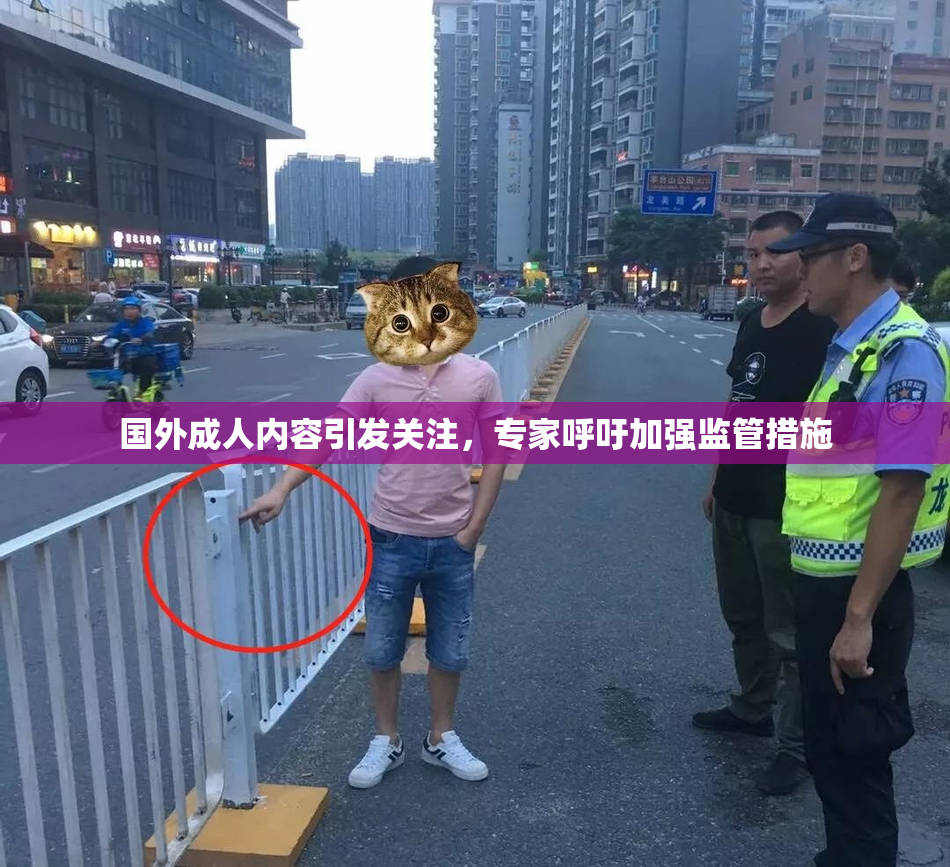 国外成人内容引发关注，专家呼吁加强监管措施