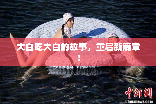 大白吃大白的故事，重启新篇章！