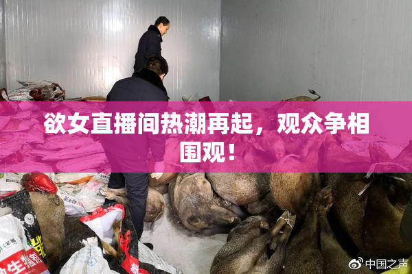 欲女直播间热潮再起，观众争相围观！