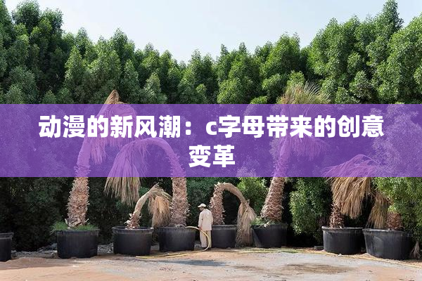 动漫的新风潮：c字母带来的创意变革