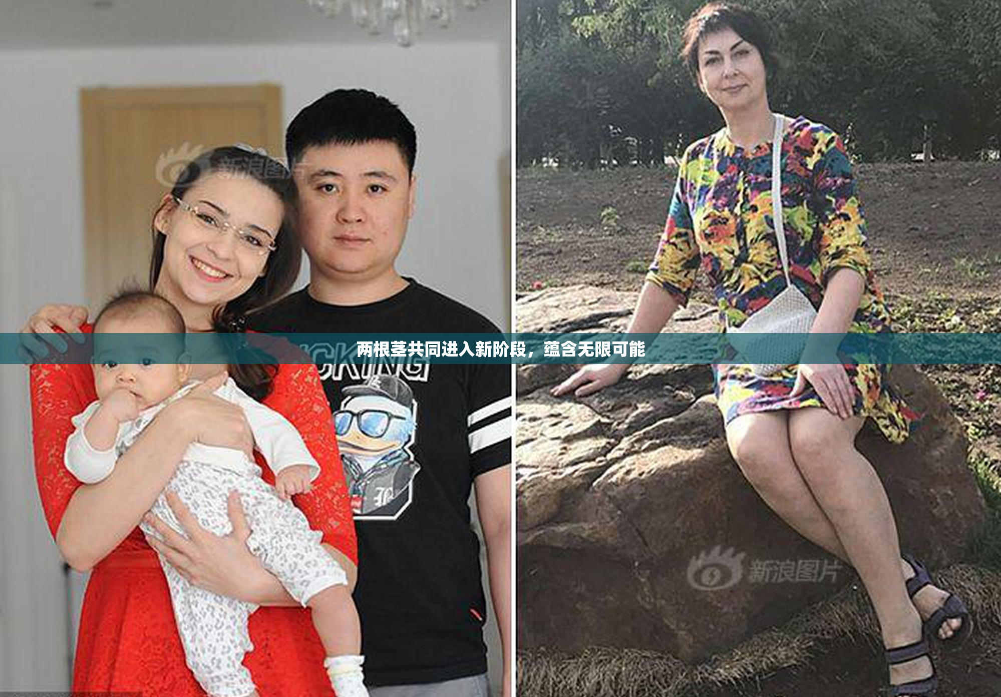 两根茎共同进入新阶段，蕴含无限可能