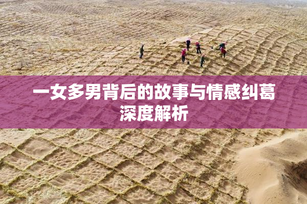 一女多男背后的故事与情感纠葛深度解析