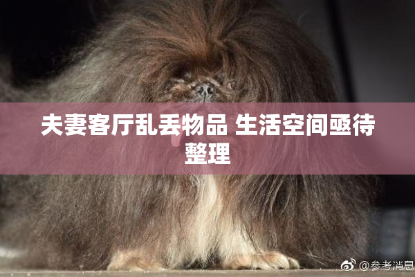 夫妻客厅乱丢物品 生活空间亟待整理