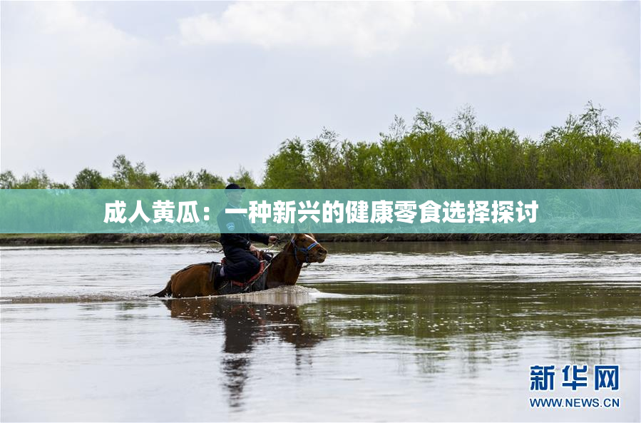 成人黄瓜：一种新兴的健康零食选择探讨