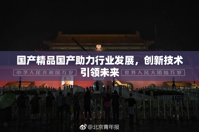 国产精品国产助力行业发展，创新技术引领未来