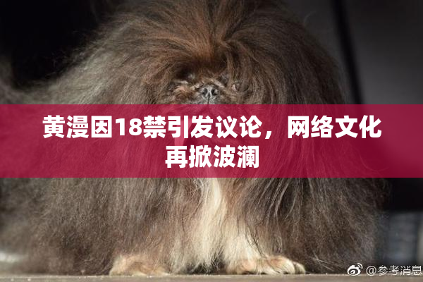 黄漫因18禁引发议论，网络文化再掀波澜