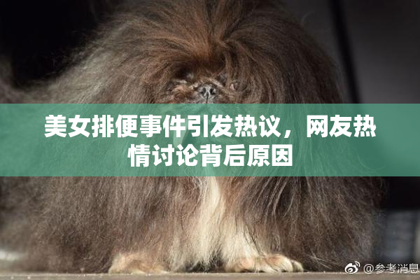 美女排便事件引发热议，网友热情讨论背后原因