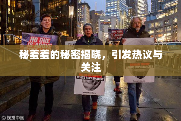 秘羞羞的秘密揭晓，引发热议与关注