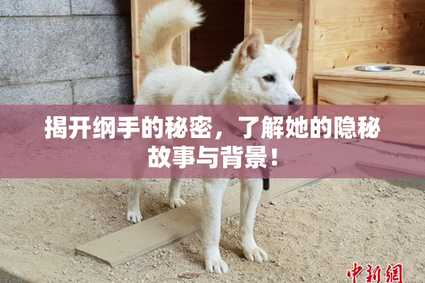 揭开纲手的秘密，了解她的隐秘故事与背景！