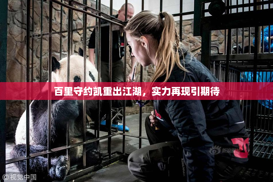 百里守约凯重出江湖，实力再现引期待