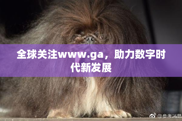 全球关注www.ga，助力数字时代新发展