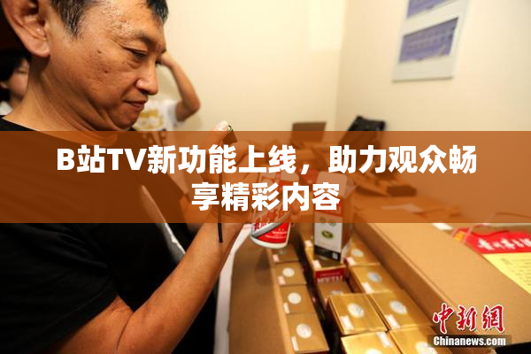 B站TV新功能上线，助力观众畅享精彩内容