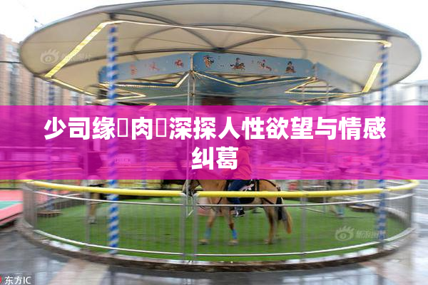 少司缘婬肉泬深探人性欲望与情感纠葛