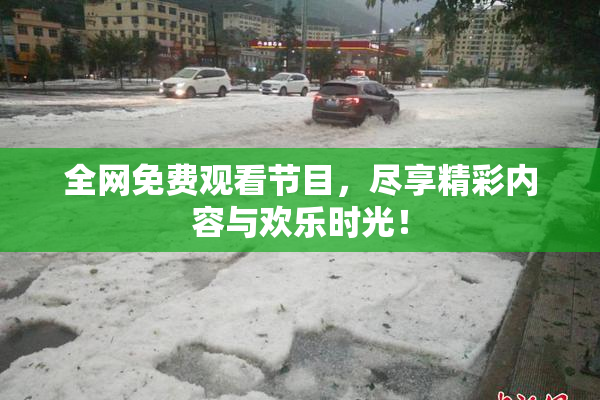 全网免费观看节目，尽享精彩内容与欢乐时光！