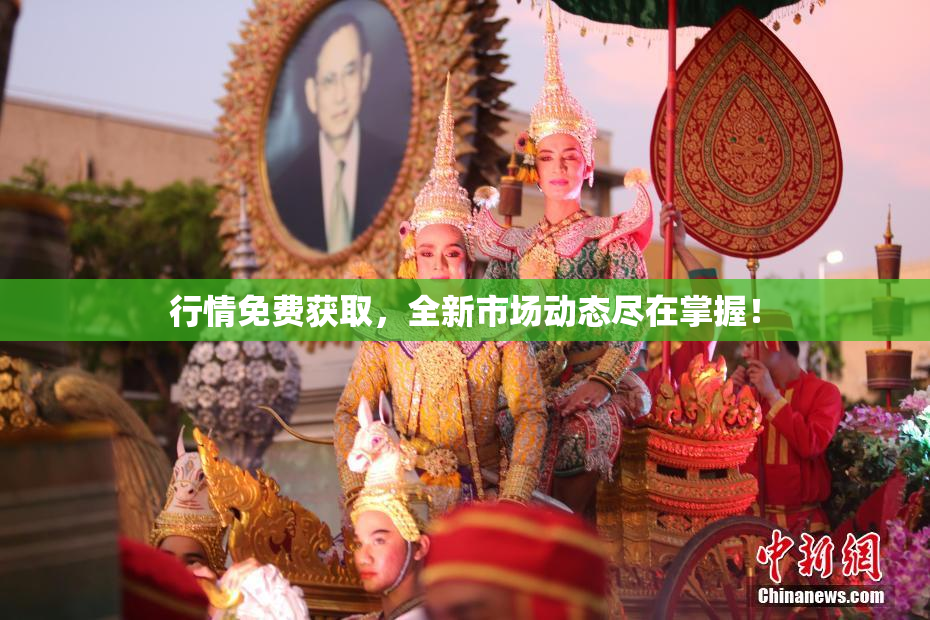 行情免费获取，全新市场动态尽在掌握！