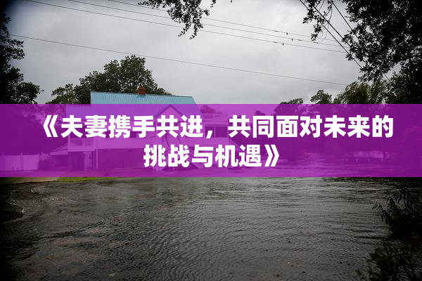 《夫妻携手共进，共同面对未来的挑战与机遇》