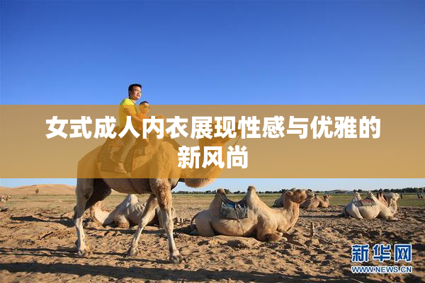 女式成人内衣展现性感与优雅的新风尚