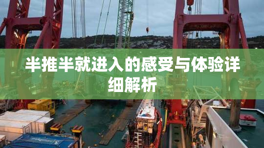 半推半就进入的感受与体验详细解析